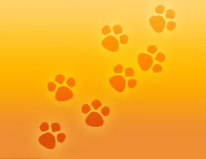 PAW Patrol 4